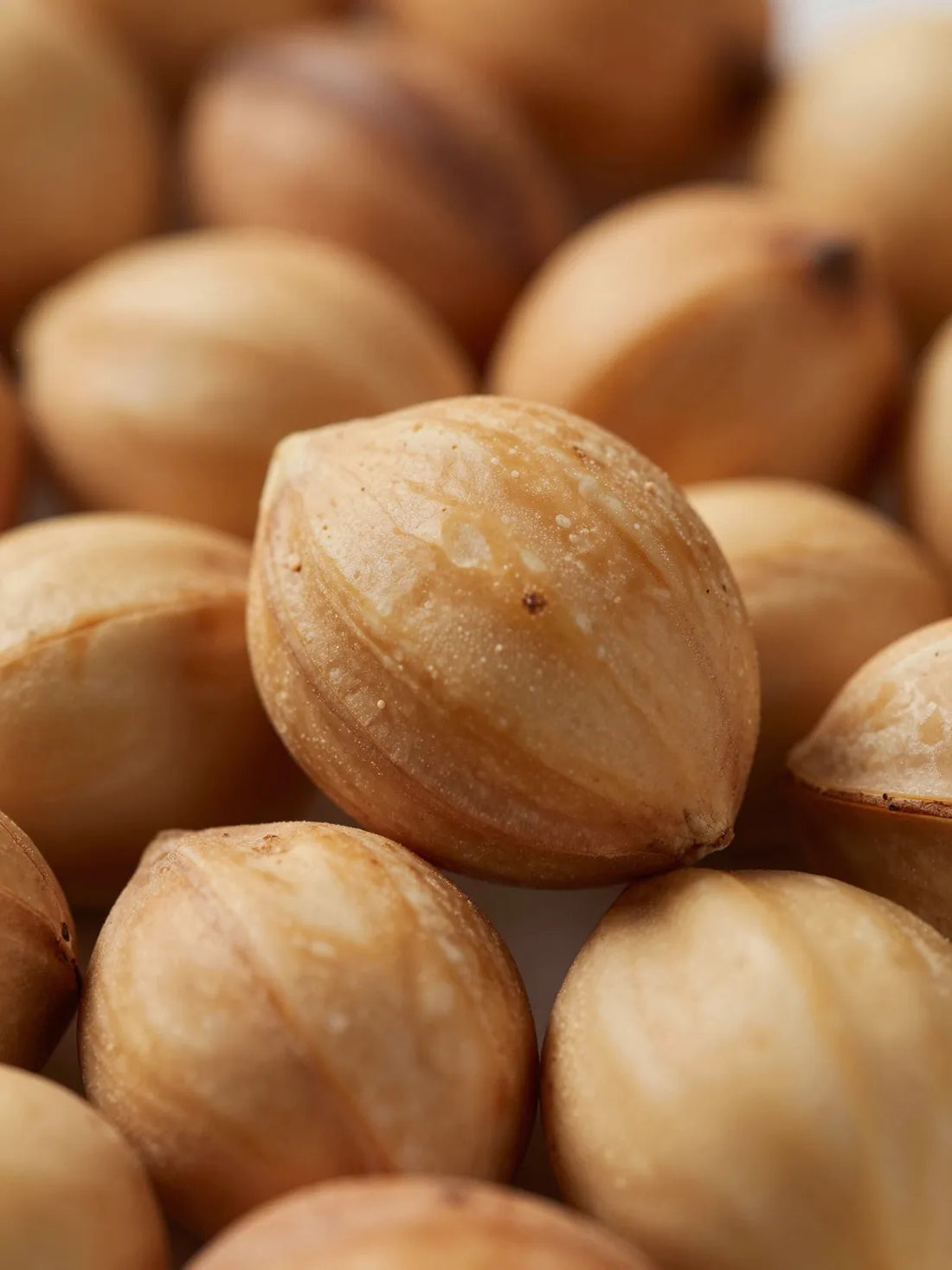 Argan nuts and kernels, close botanical macro, natural shell and surface detail, ZINC PCA BALANCING MOISTURISER