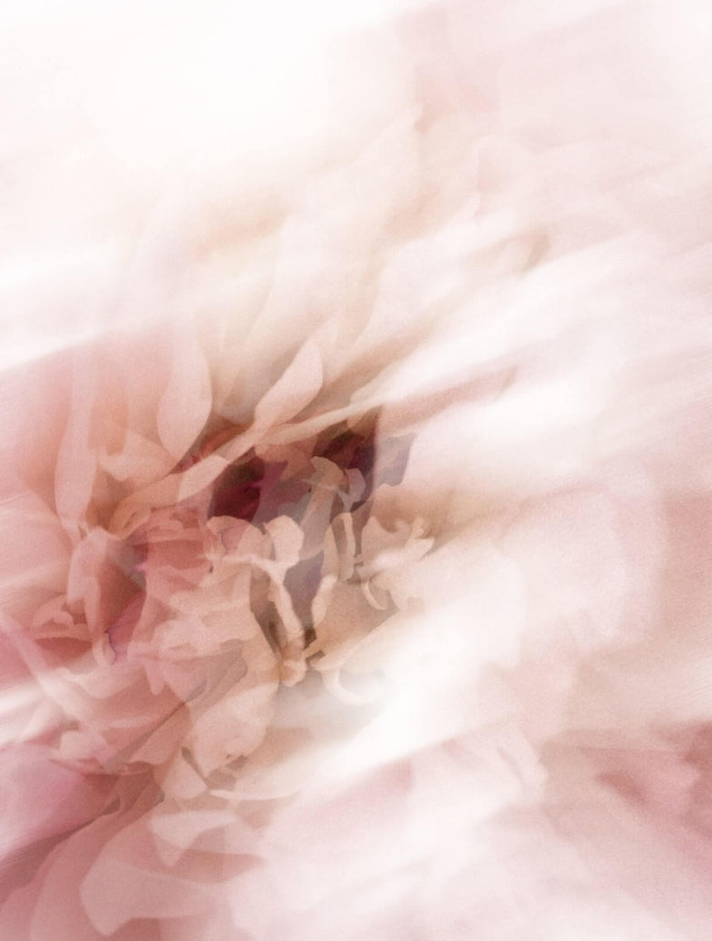 Blurred pink petals in soft focus, CELLULAR ANTI-AGING Marine bioferment Night Cream