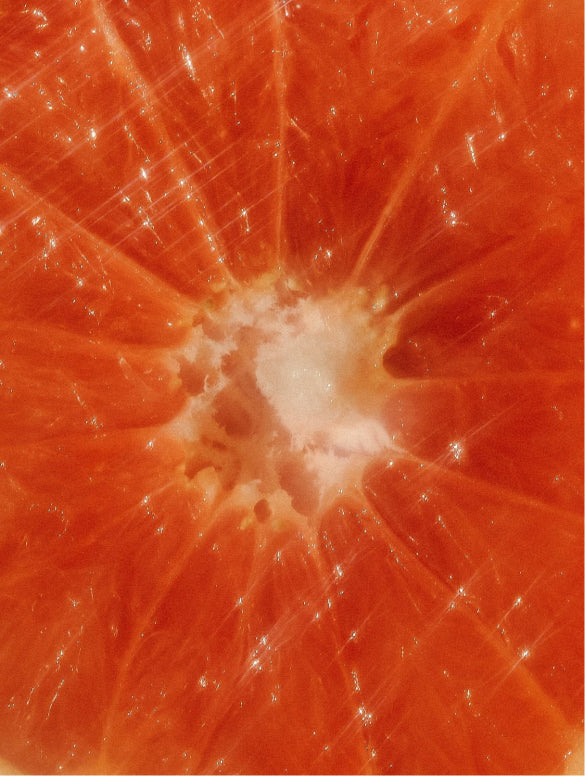 A halved grapefruit in close macro, COLOR PRESERVE SHAMPOO