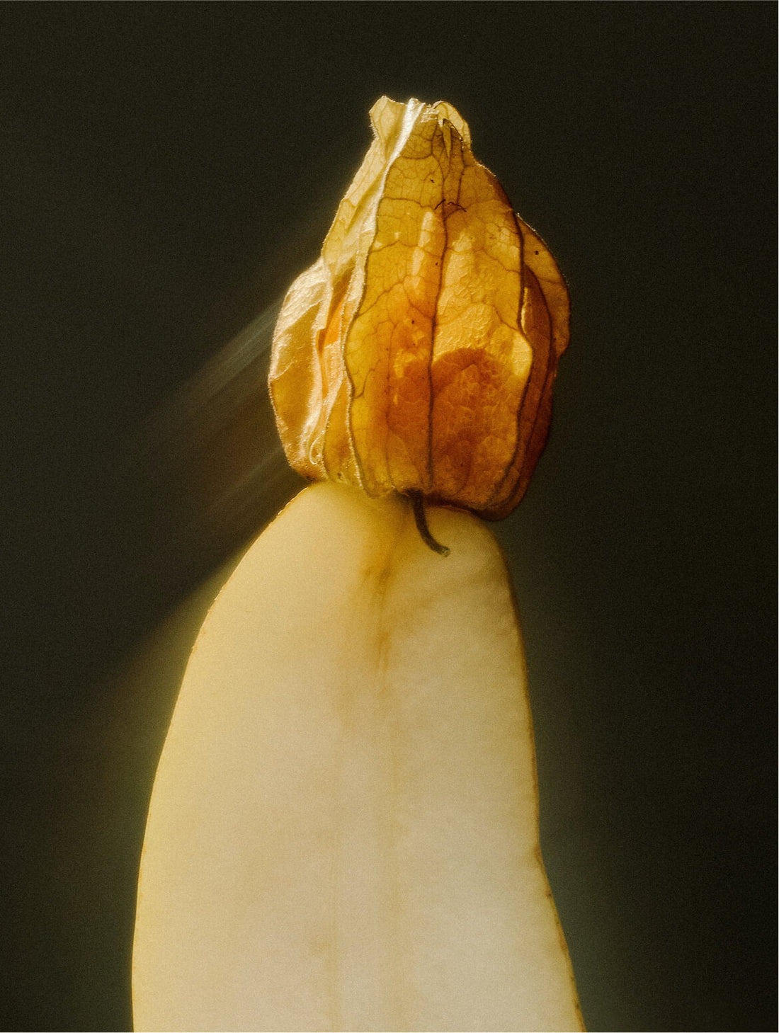 A dried golden husk resting on a pale form, against a dark ground, ARGAN BOTANICAL CLEANSING MILK