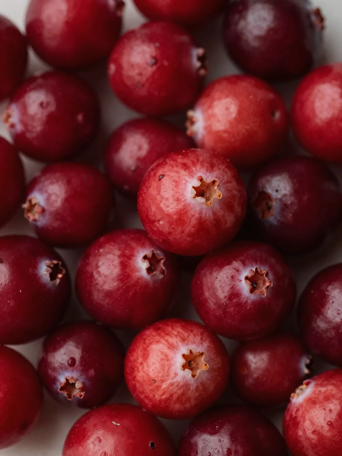 Whole Cranberry fruit, close botanical macro, natural skin and colour variation, MILD GLYCOLIC EXFOLIATING TONER