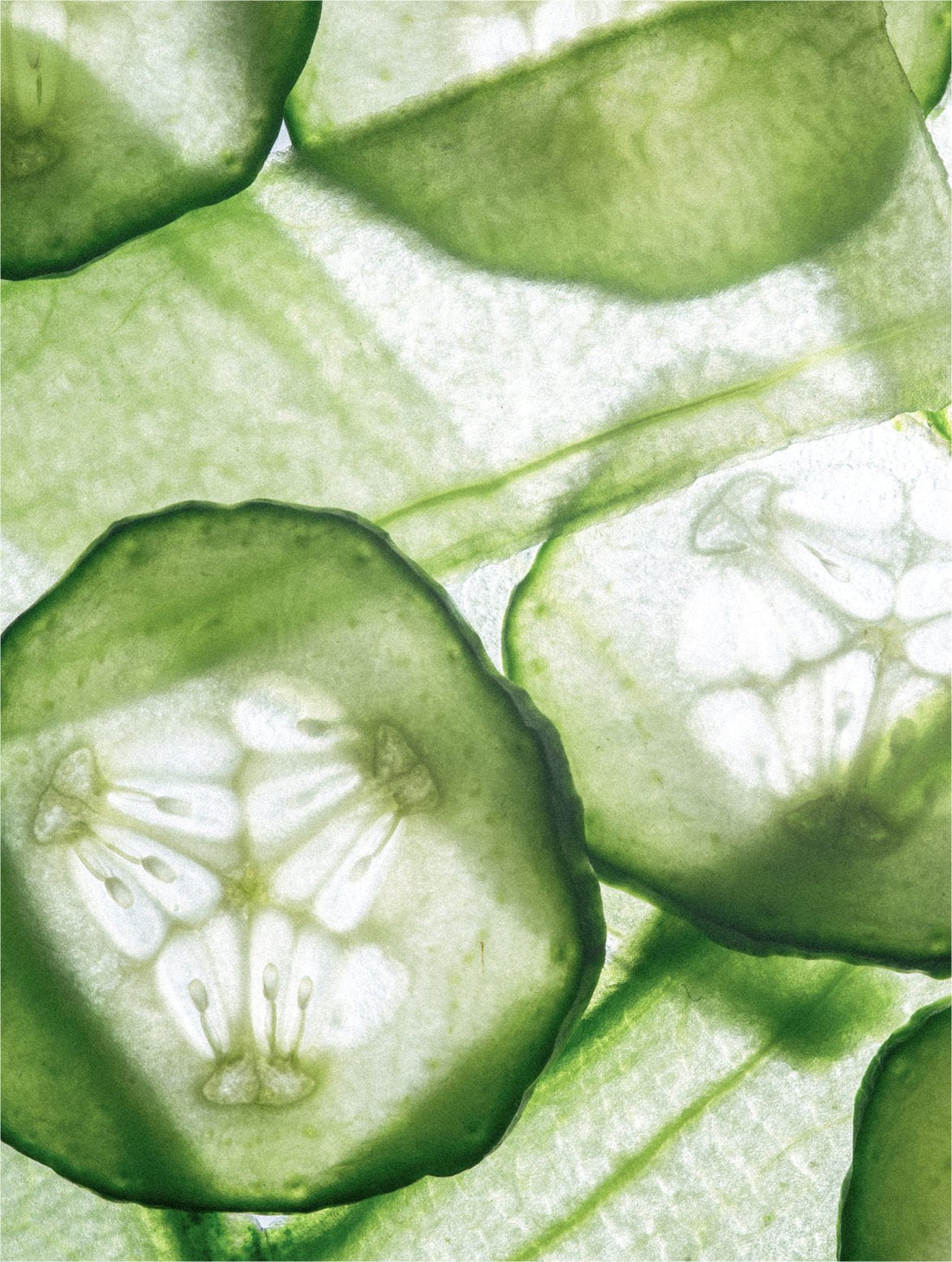 Backlit cucumber slices in close macro, VOLCANIC SAND EXFOLIATING FACE BODY SCRUB