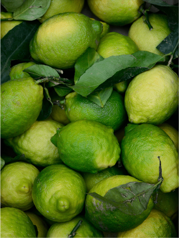 Whole green citrus fruit with their leaves, ZINC PCA BALANCING GEL FOR MEN