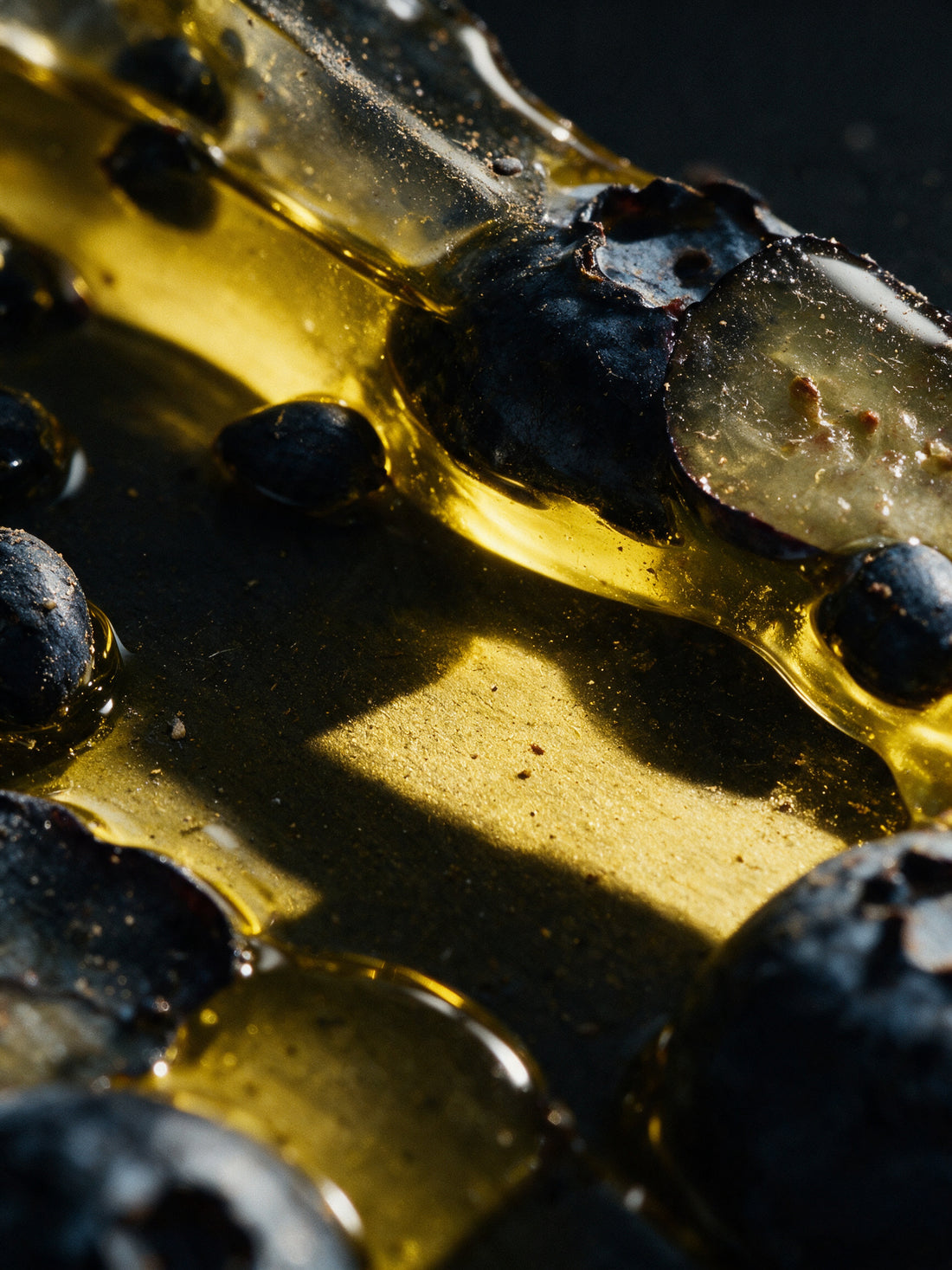 Blueberry seeds in pressed oil, deep indigo skins and gold oil