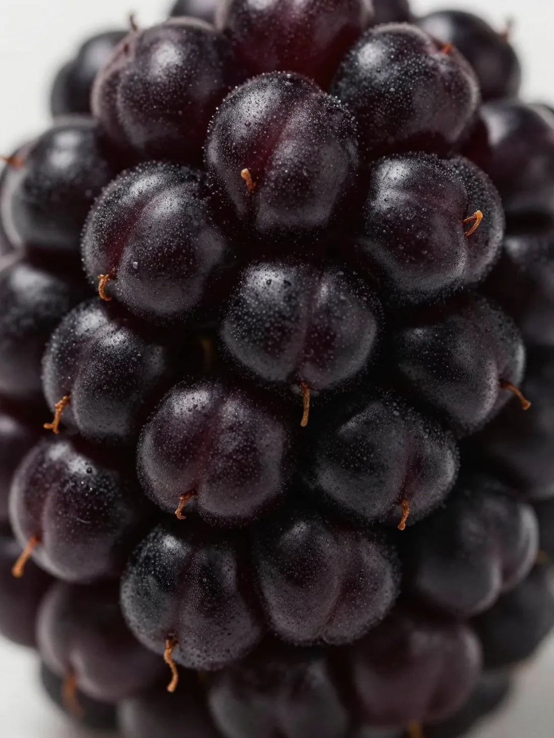 Whole Blackberry fruit, close botanical macro, natural skin and colour variation, BLACKBERRY BOTANICAL FACIAL WASH