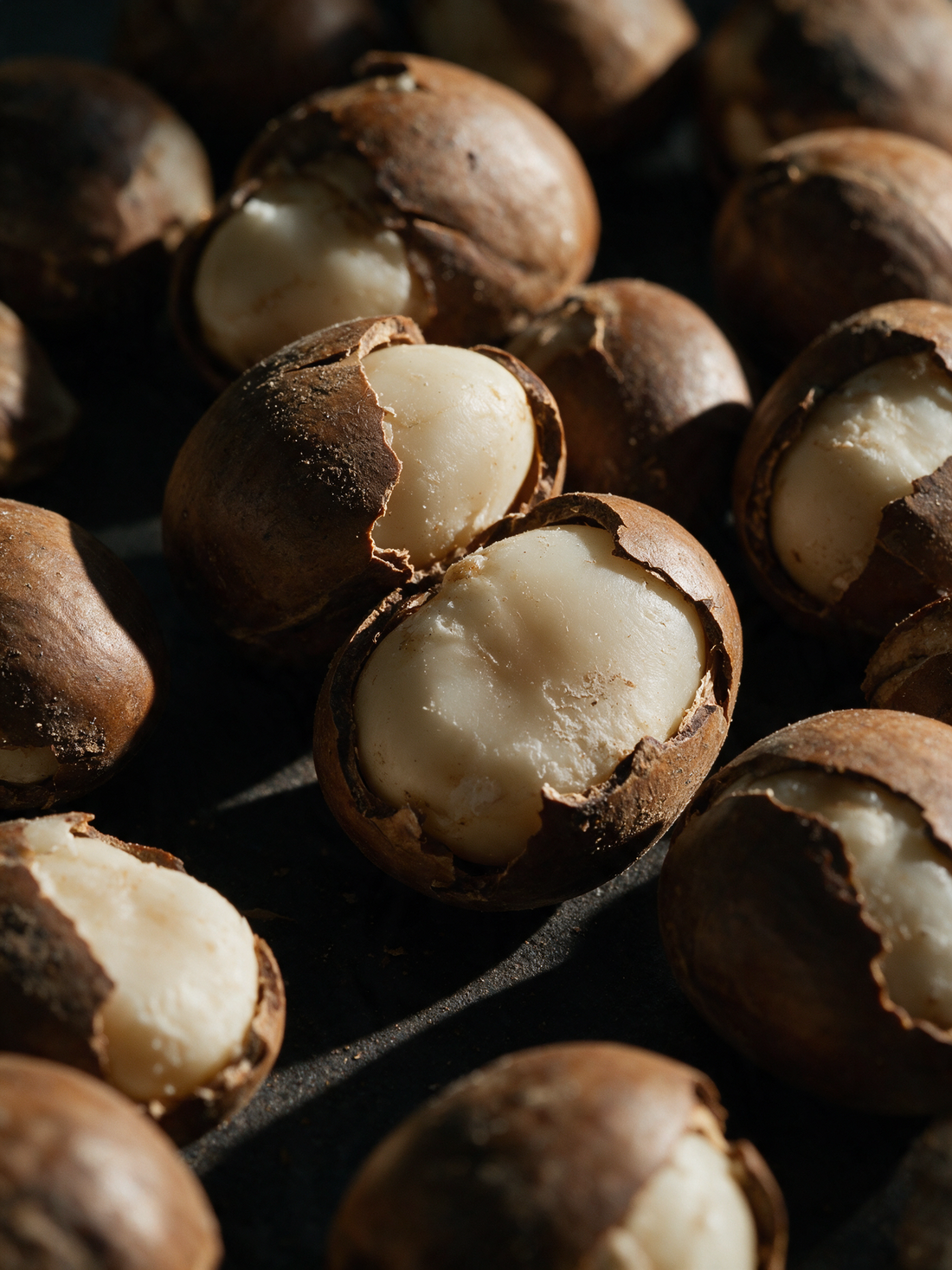 Murumuru nuts, hard brown shells split to a waxy ivory kernel
