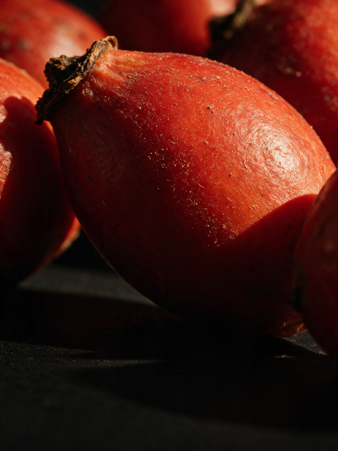 Whole rosehips, scarlet fruit with dried calyx tips