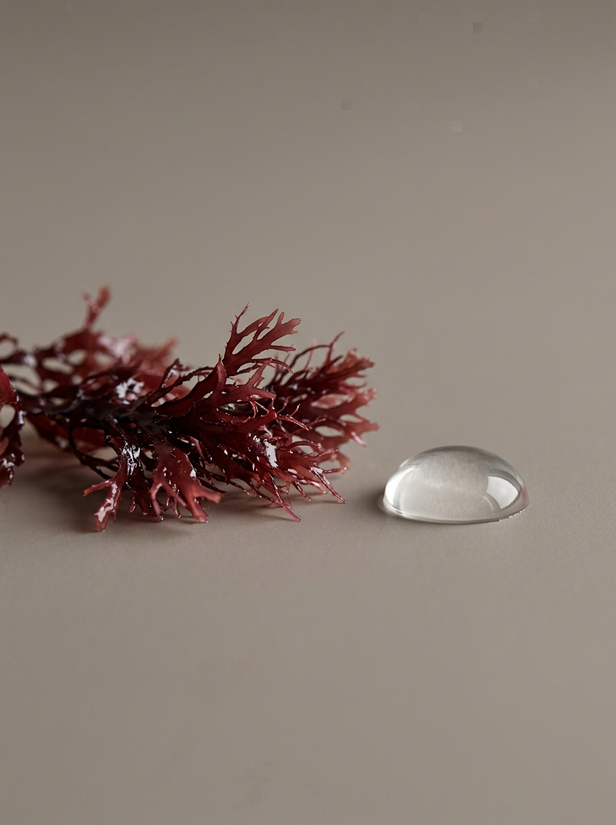 Red Algae