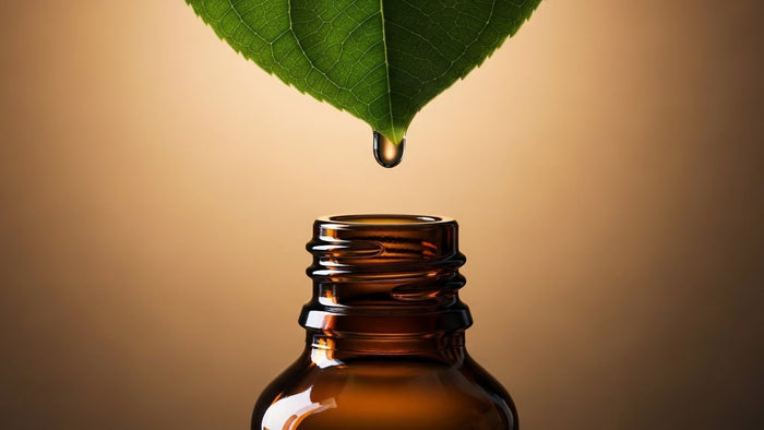 Tea Tree Oil: What It Actually Does for Blemish-Prone Skin