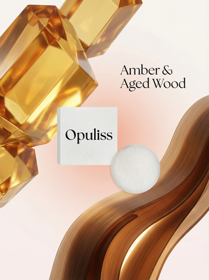 Shampoo Bar Nourishing Cleanse With Moroccan Oil Amber Eco Conscious