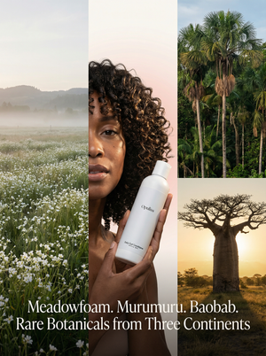 Daily Curl Conditioner Curly Hair Luxurious Detangler Defined Curls