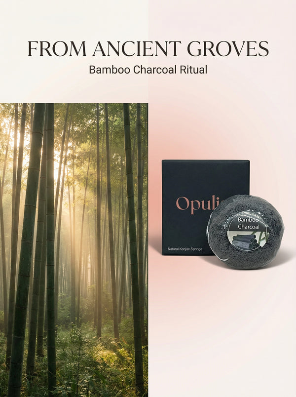 Natural Konjac Sponge Palm Sized Daily Exfoliation For All Skin Types