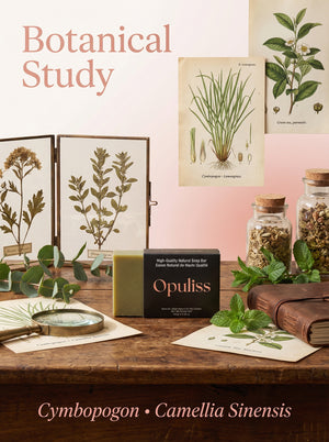 Green Tea Lemongrass Soap Detoxifies And Calms All Skin Types