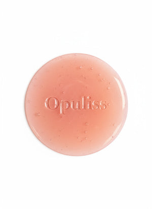 Lip Gloss Liquid Mahogany Fuller Lips Illuminating Shine Everyday Glam - Opuliss Beauty
