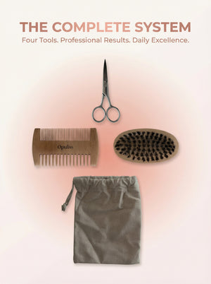 Pro Tools Men's Grooming Kit With Nylon Comb And Wooden Brush