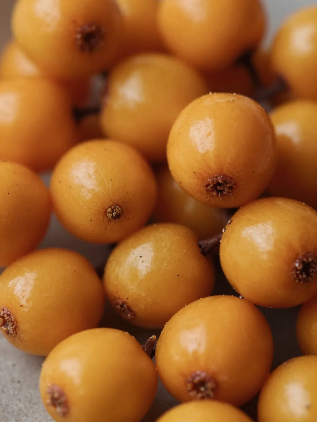 Whole Sea Buckthorn fruit, close botanical macro, natural skin and colour variation, OMEGA-RICH BARRIER FACIAL OIL