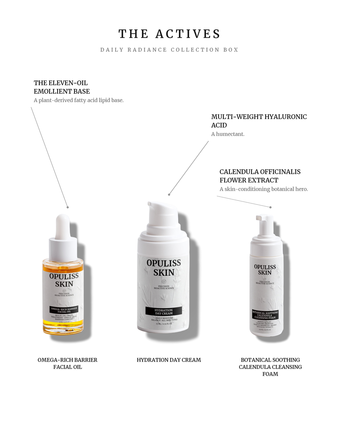 The actives of the set with callouts, Daily Radiance Collection Box