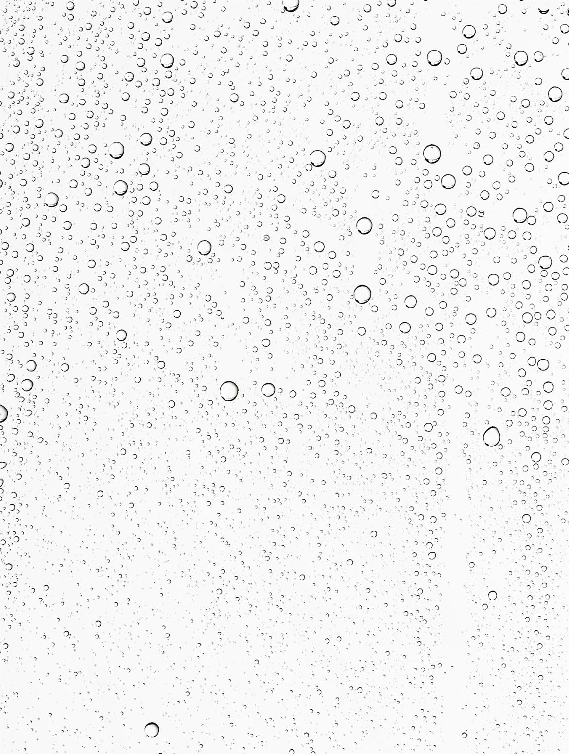 POSTBIOTIC CALM MIST, the formula photographed at macro scale