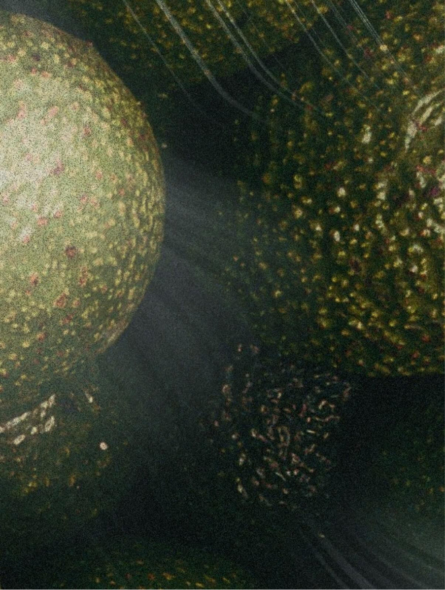 Deep green dimpled fruit skin in close macro, SEA BUCKTHORN FACIAL OIL
