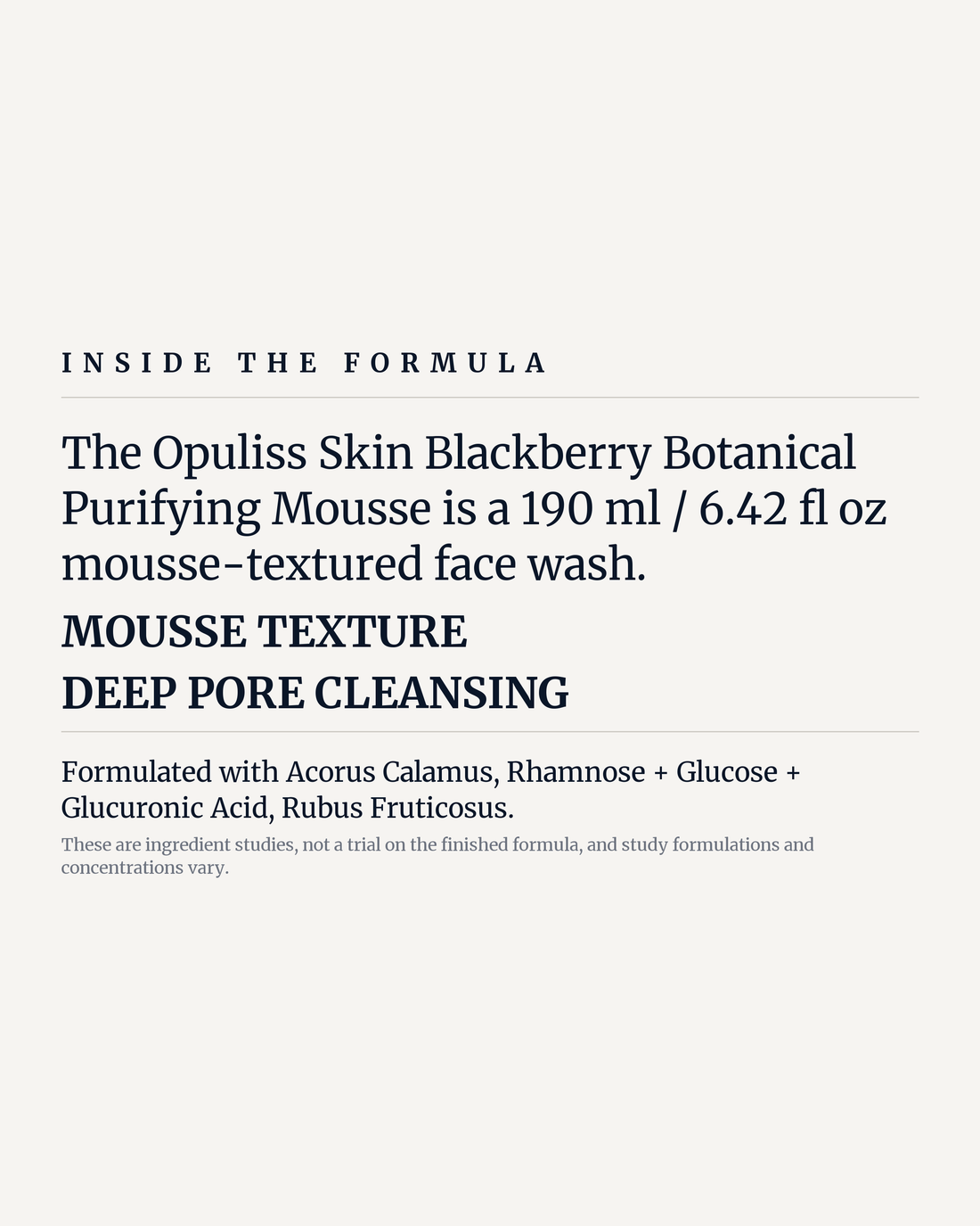 BLACKBERRY BOTANICAL PURIFYING MOUSSE potency panel, mousse texture, deep pore cleansing